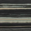 Bosque negro
